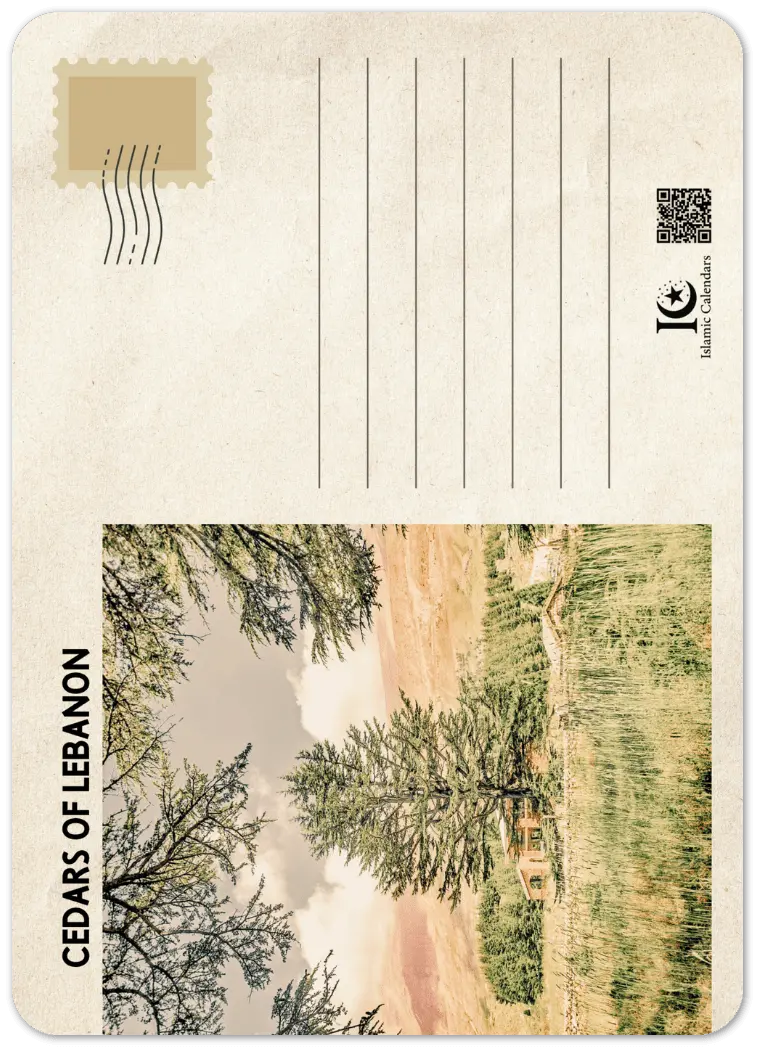 Cedar Tree Stamp | Lebanon | أرز لبنان | French Mandate Era | Iconic Lebanese Design | Pack of 10 Postcards (2 - sided, Premium envelopes) | (US & CA) | by Islamic Calendars - Islamic Calendars